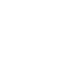 COTY INC Share Price